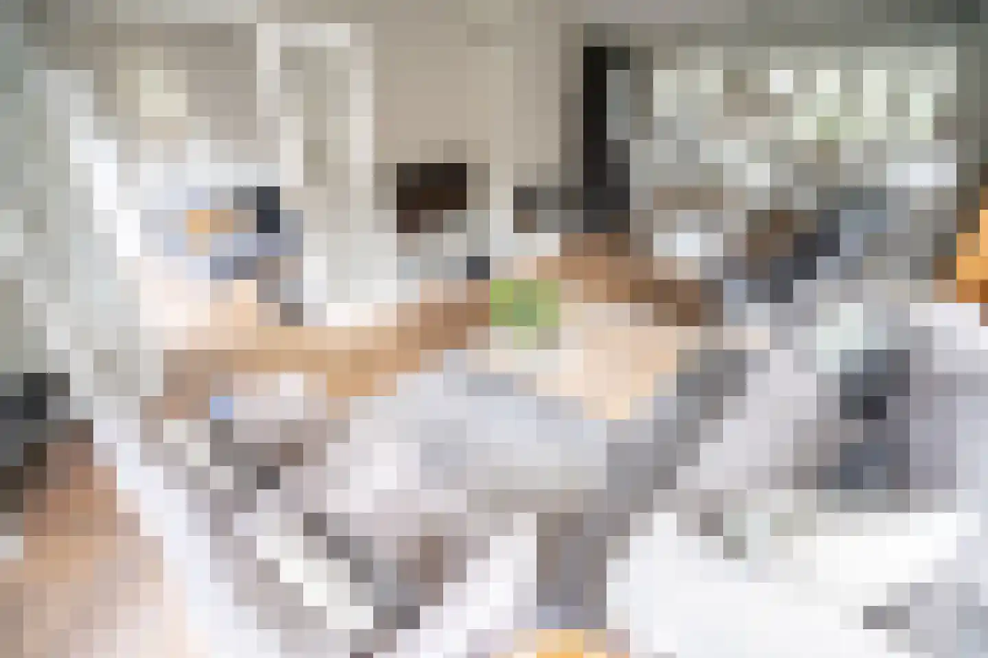 Margaretha Fergusonhof 9 Voorschoten thumbnail 7