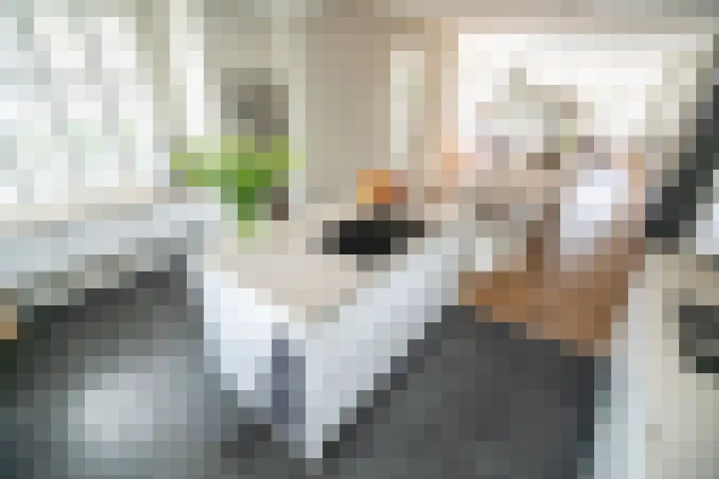 Margaretha Fergusonhof 9 Voorschoten thumbnail 8