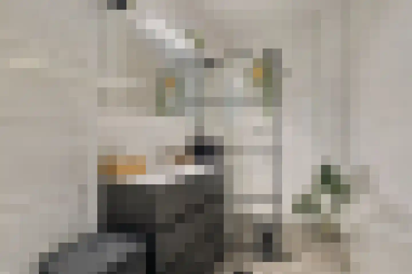 Margaretha Havermanstraat 42 Zoetermeer thumbnail 5