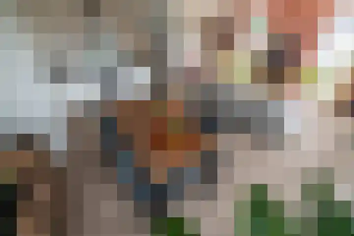 Margaretha Havermanstraat 51 Zoetermeer thumbnail 6