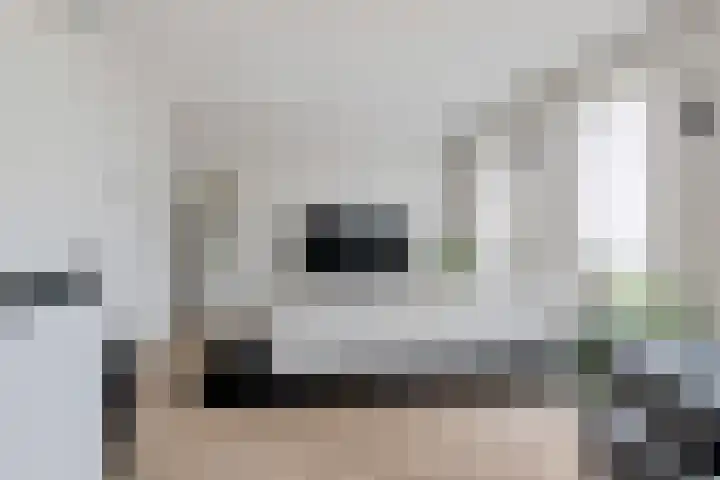 Margaretha Havermanstraat 63 Zoetermeer thumbnail 31