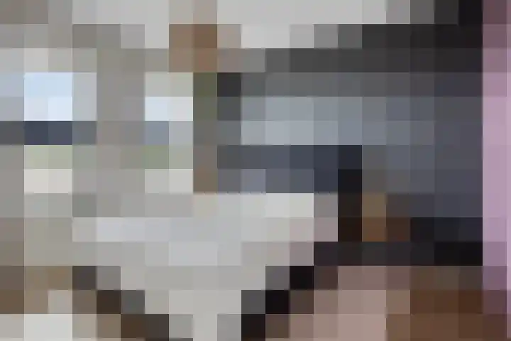 Margaretha Havermanstraat 65 Zoetermeer thumbnail 17