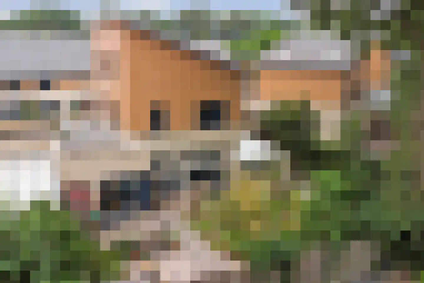 Margaretha Roosenboomlaan 91 Enschede thumbnail 41
