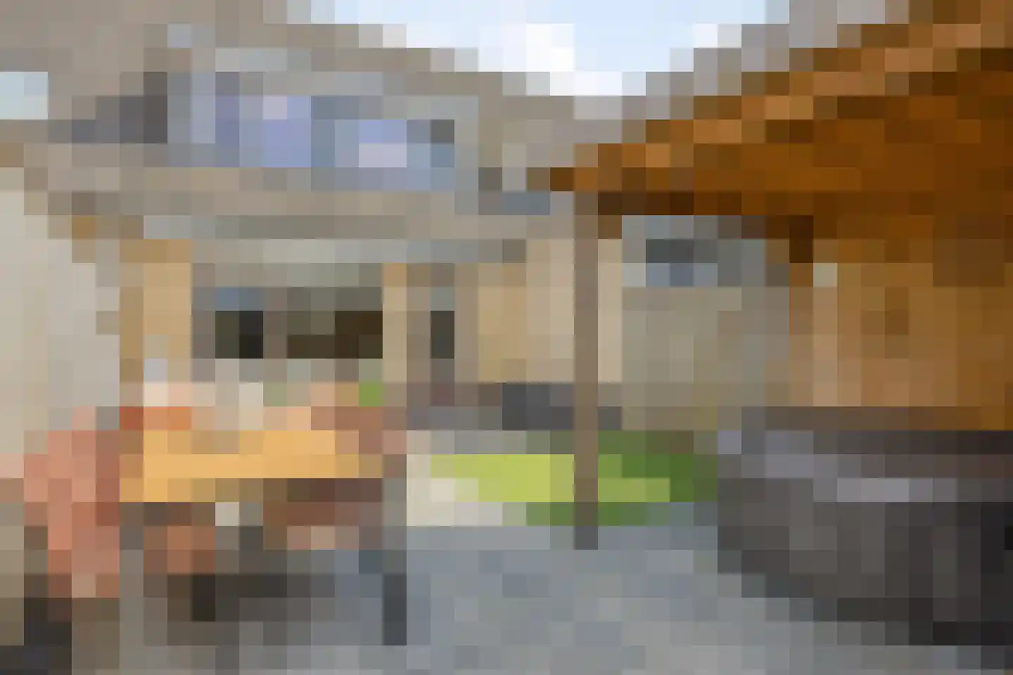 Margaretha Roosenboomstraat 16 Spijkenisse thumbnail 25