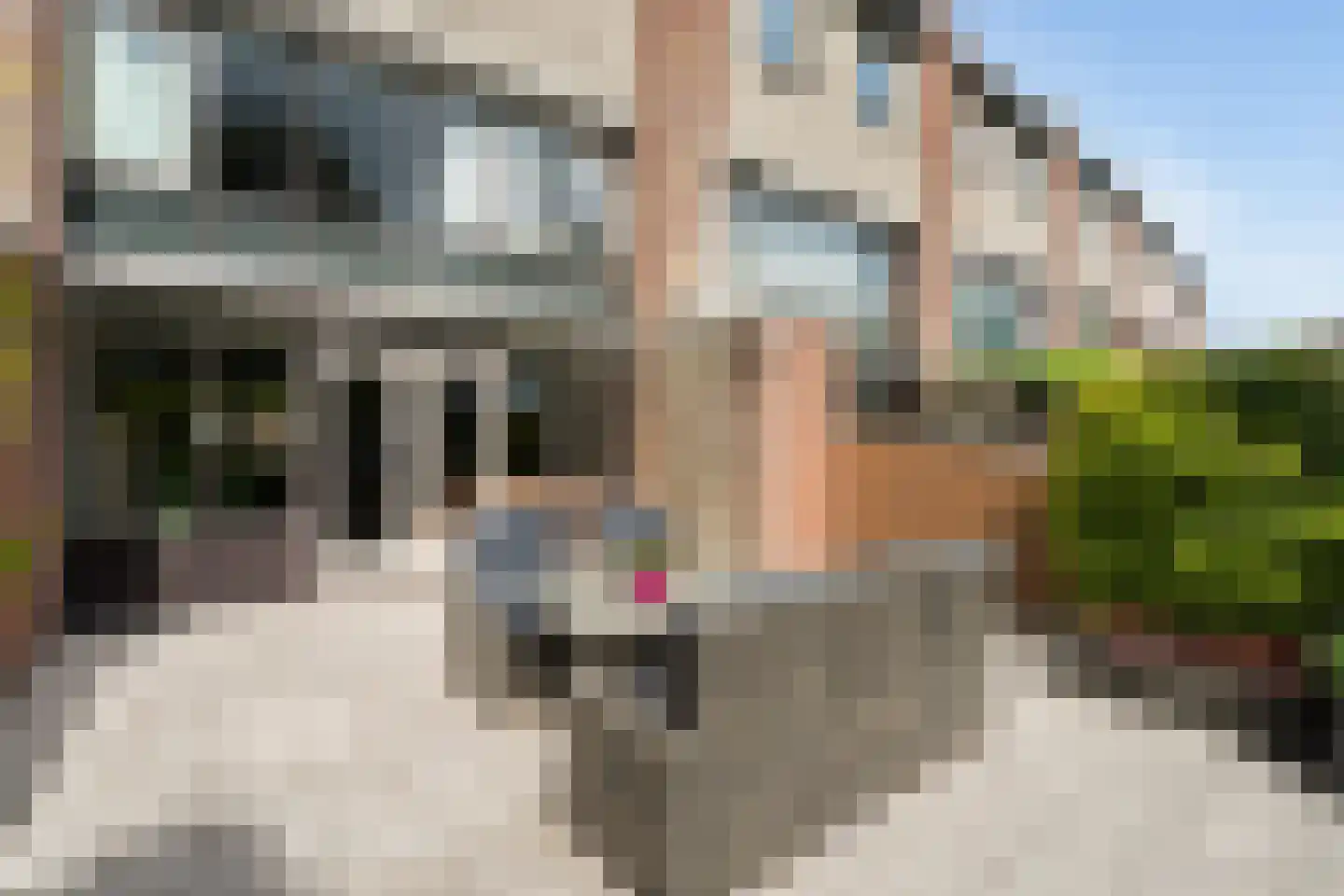 Margaretha Roosenboomstraat 3 Pijnacker thumbnail 11