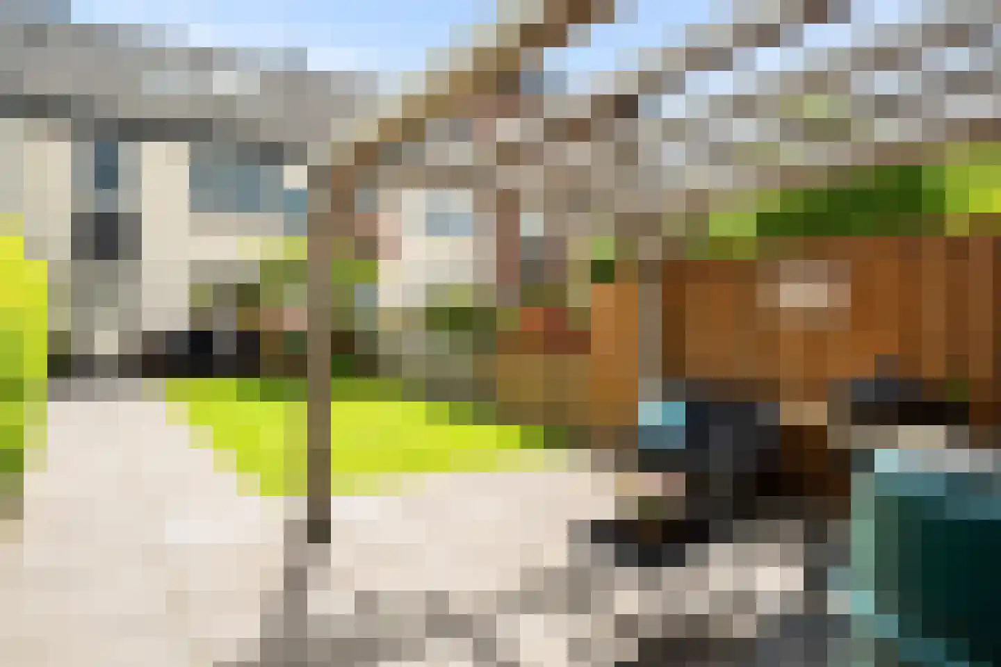 Margaretha Roosenboomstraat 3 Pijnacker thumbnail 4