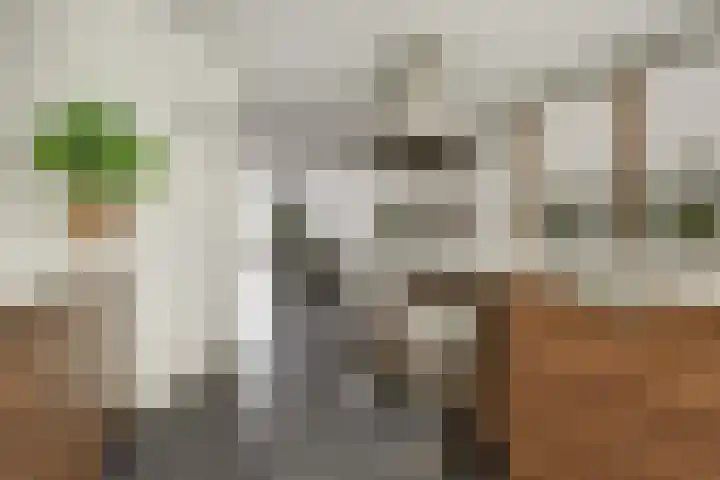 Margaretha Turnorlaan 16 Veenendaal thumbnail 19
