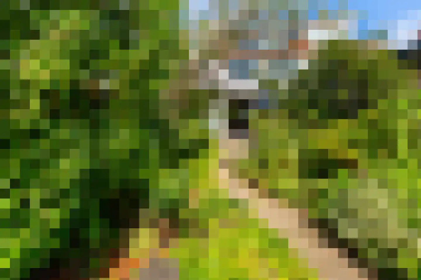 Margaretha van Borsselenlaan 31 Amstelveen thumbnail 18