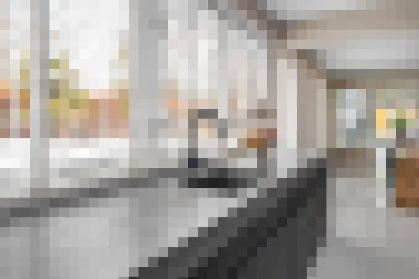 Margaretha van Daunstraat 36 Vianen thumbnail 10