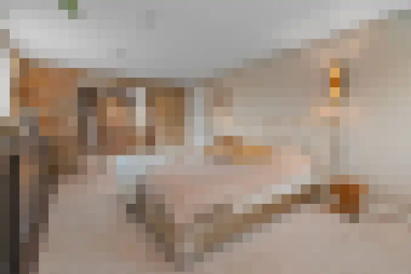 Margaretha van Daunstraat 36 Vianen thumbnail 18