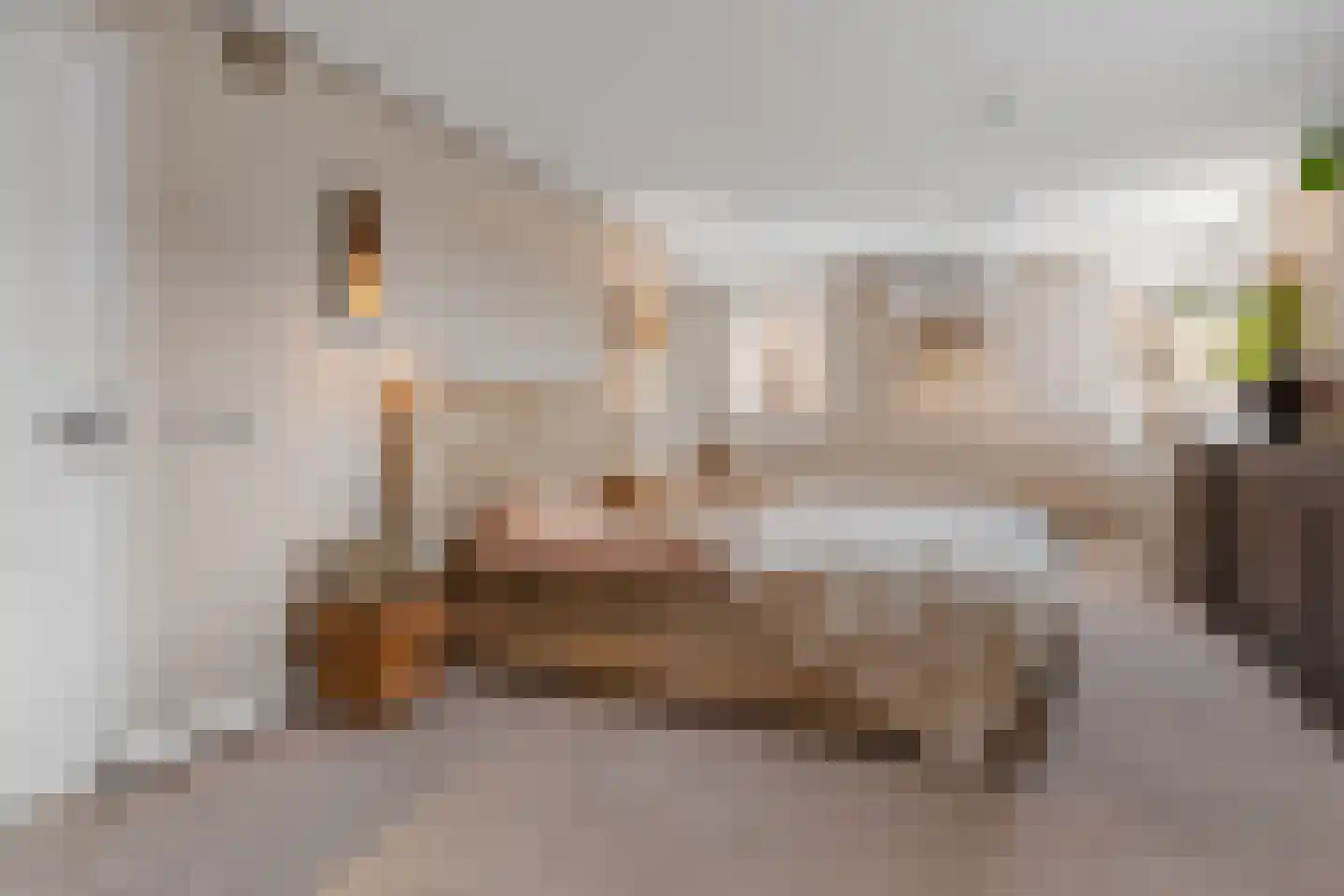 Margaretha van Daunstraat 36 Vianen thumbnail 19