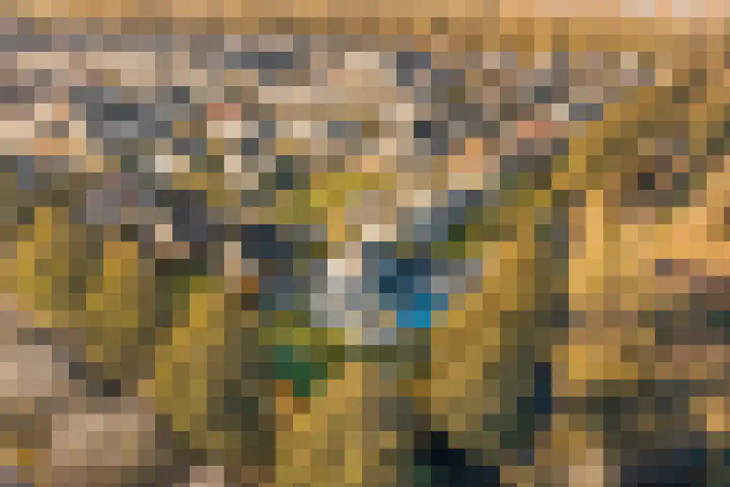 Margaretha van Daunstraat 36 Vianen thumbnail 38
