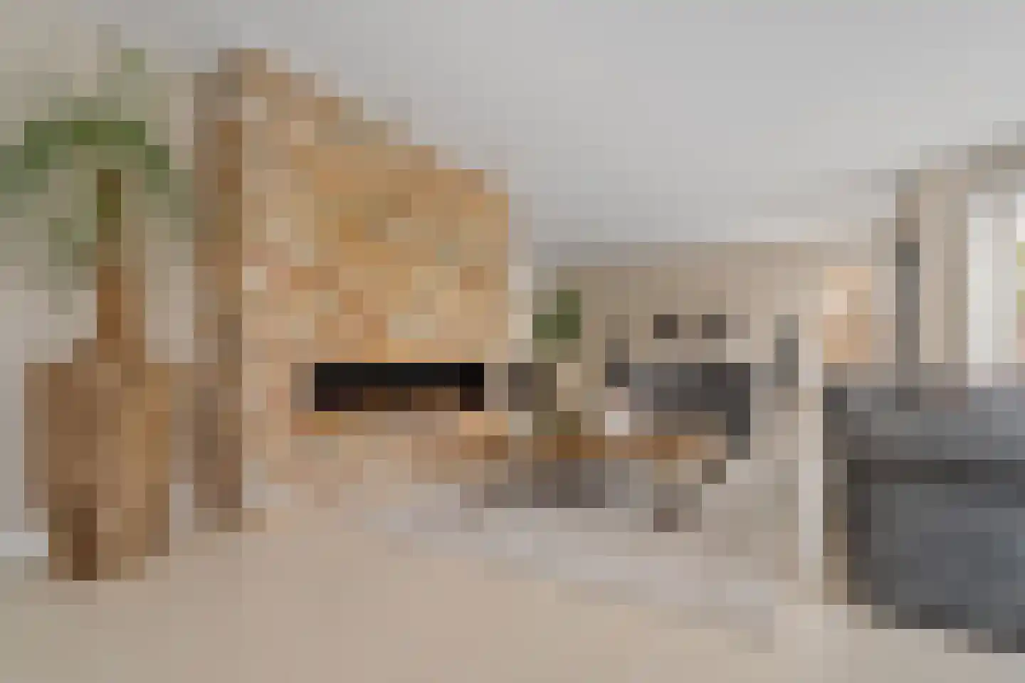 Margaretha van Daunstraat 36 Vianen thumbnail 4
