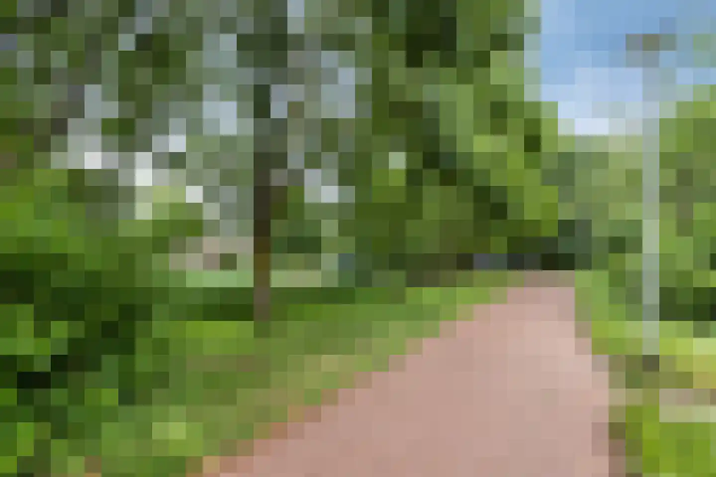 Margaretha van Hennebergweg 29 Den Haag thumbnail 23