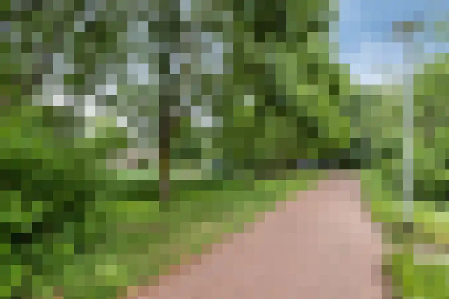Margaretha van Hennebergweg 29 Den Haag thumbnail 24