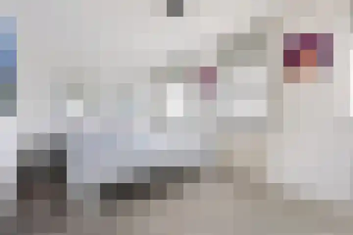 Margaretha van Oostenrijklaan 17 Leiderdorp thumbnail 15