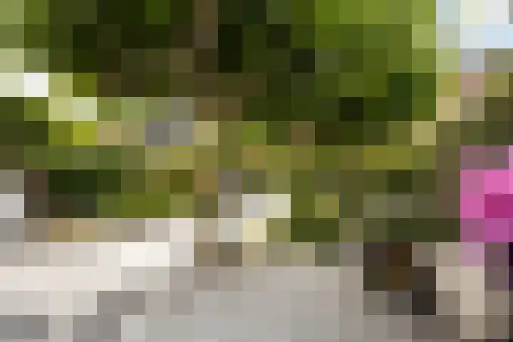 Margaretha van Oostenrijklaan 17 Leiderdorp thumbnail 29