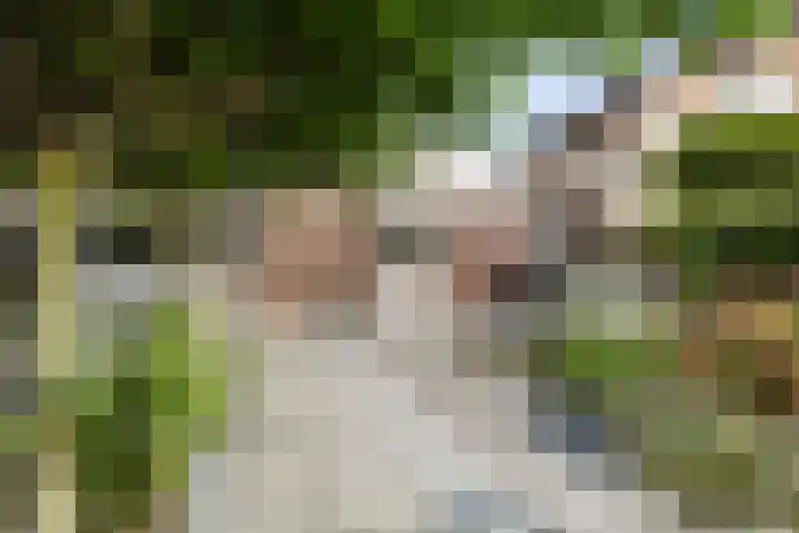Margaretha van Oostenrijklaan 17 Leiderdorp thumbnail 31