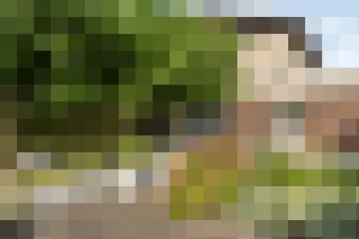 Margaretha van Oostenrijklaan 17 Leiderdorp thumbnail 32