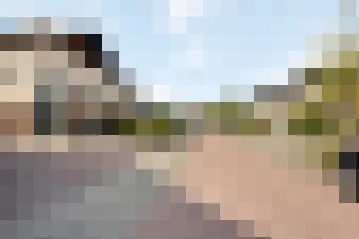 Margaretha van Oostenrijklaan 17 Leiderdorp thumbnail 34