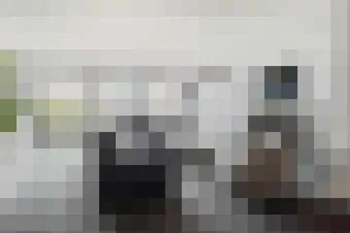 Margaretha van Oostenrijklaan 17 Leiderdorp thumbnail 4