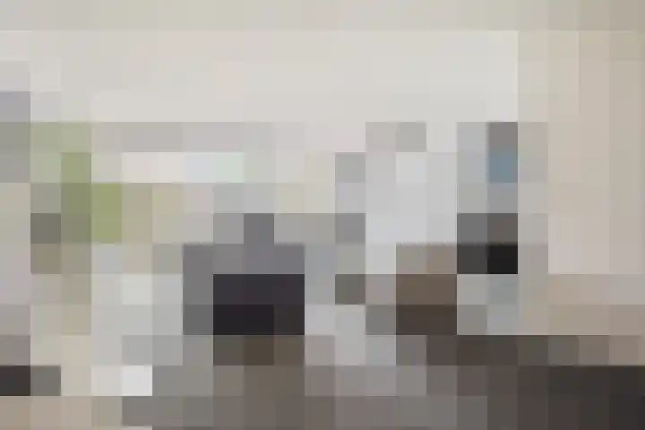 Margaretha van Oostenrijklaan 17 Leiderdorp thumbnail 7