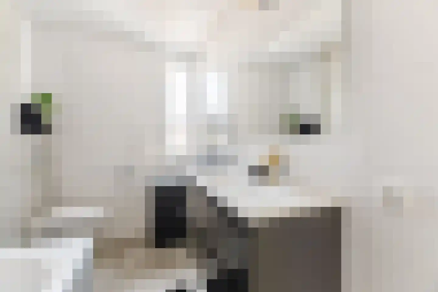 Margarethadreef 28 Tilburg thumbnail 30