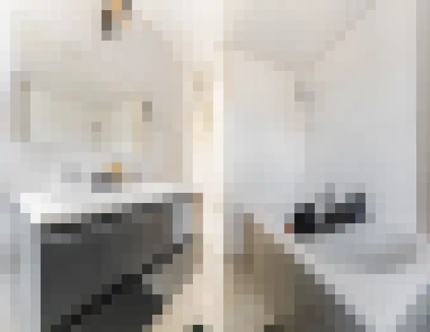 Margarethadreef 28 Tilburg thumbnail 34