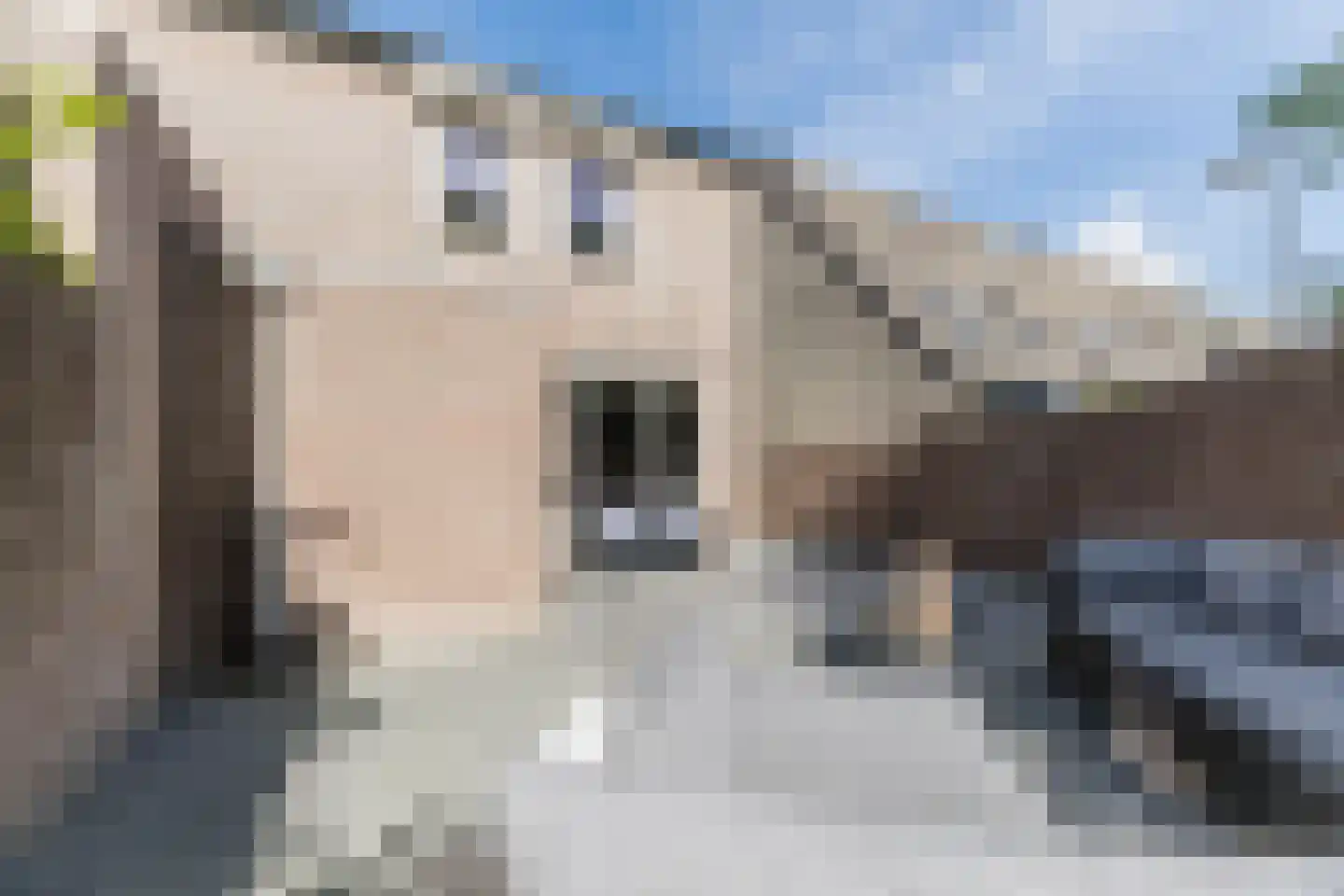 Margarethadreef 28 Tilburg thumbnail 44