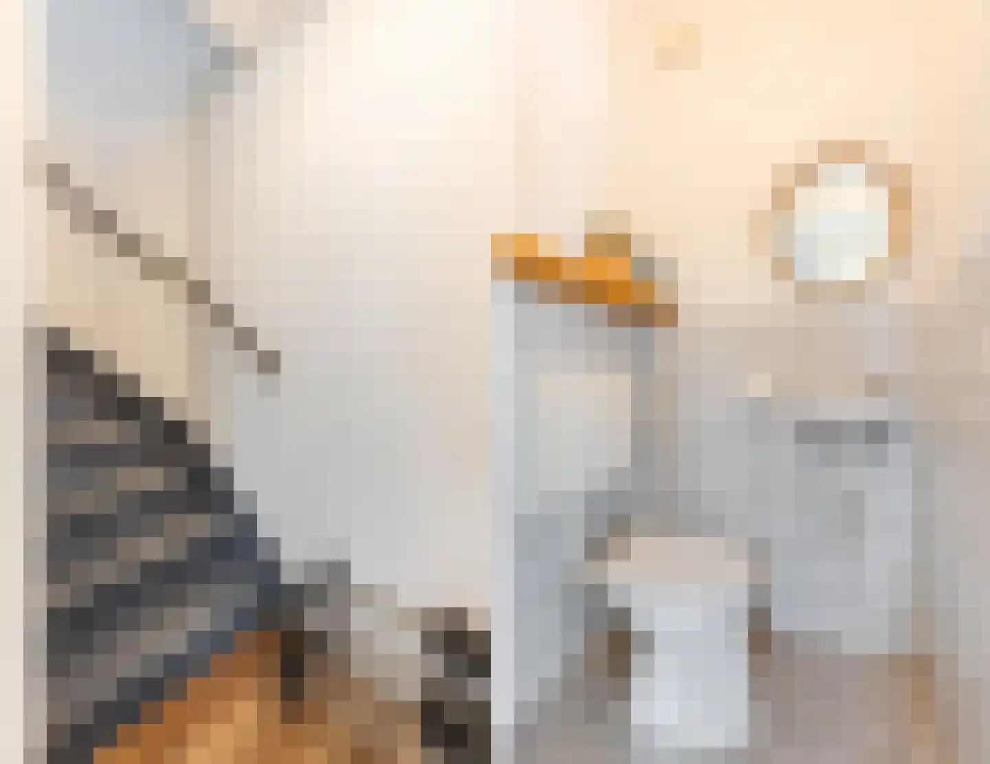 Margarethadreef 37 Tilburg thumbnail 10