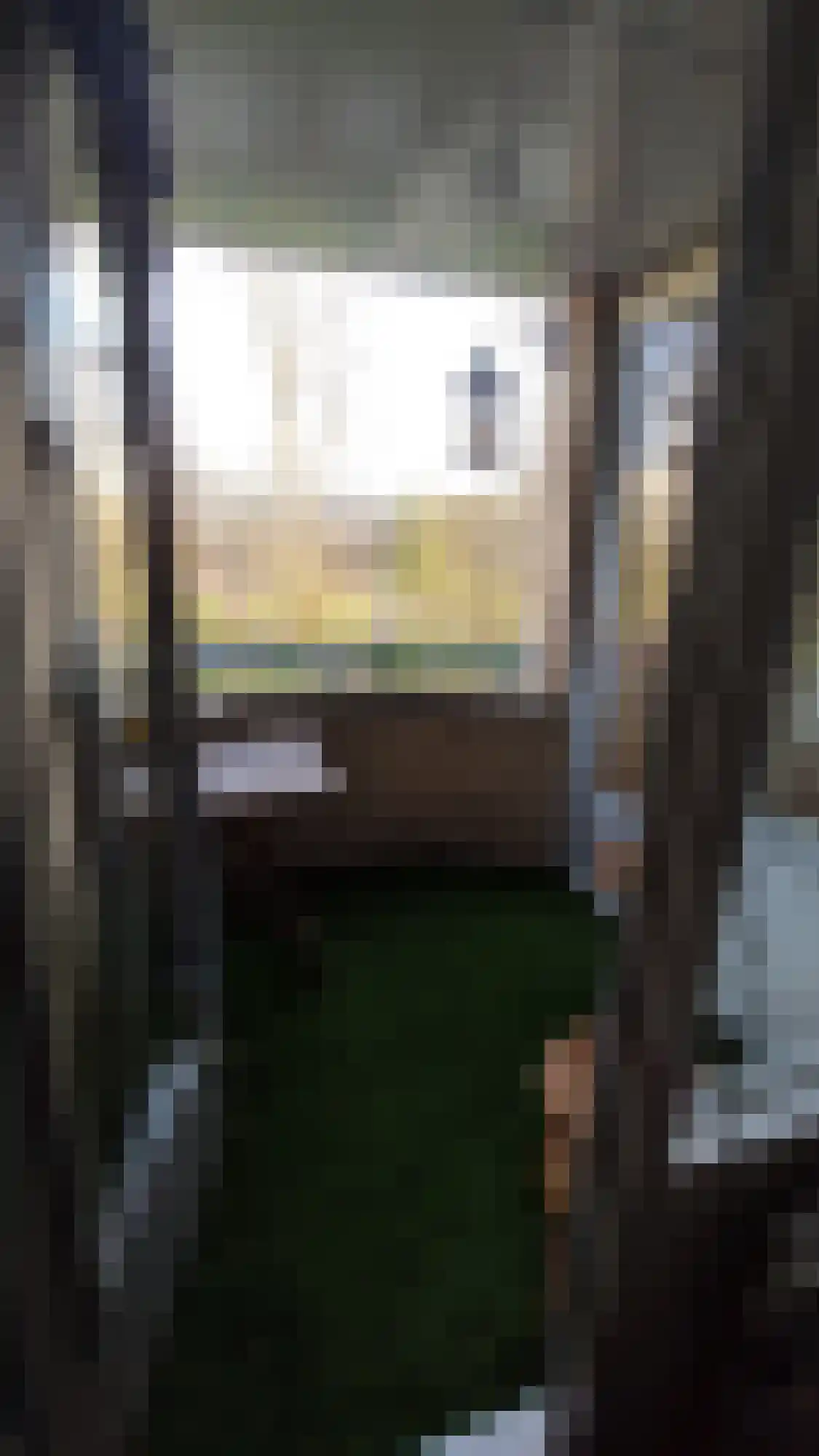 Margarethaland 177 Den Haag thumbnail 13