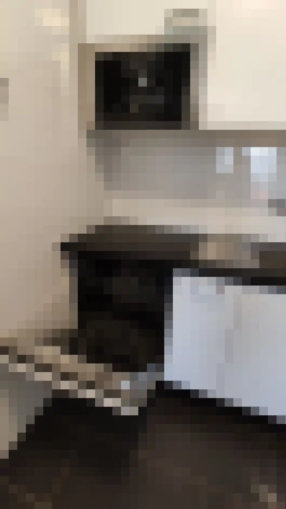Margarethaland 177 Den Haag thumbnail 8