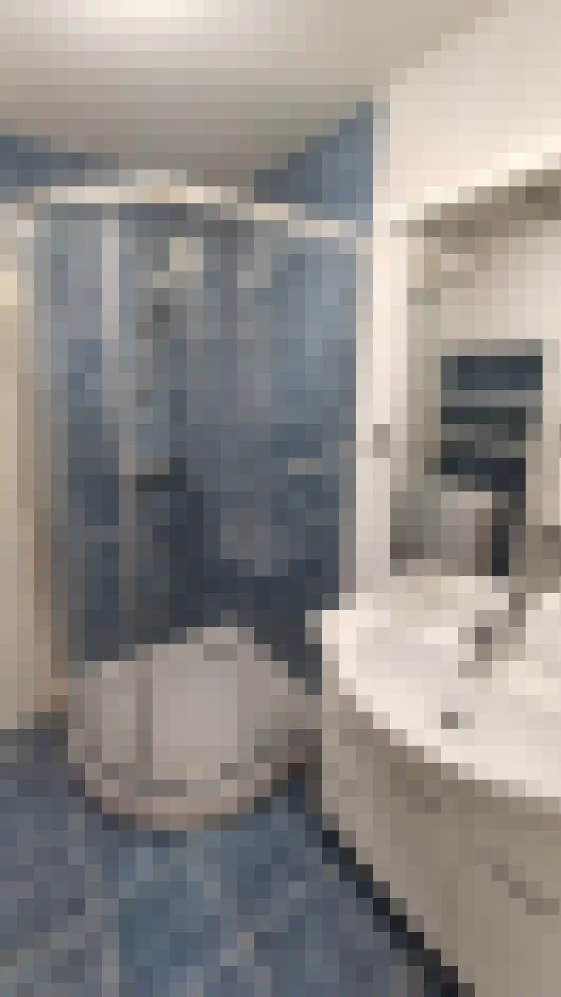 Margarethaland 177 Den Haag thumbnail 9