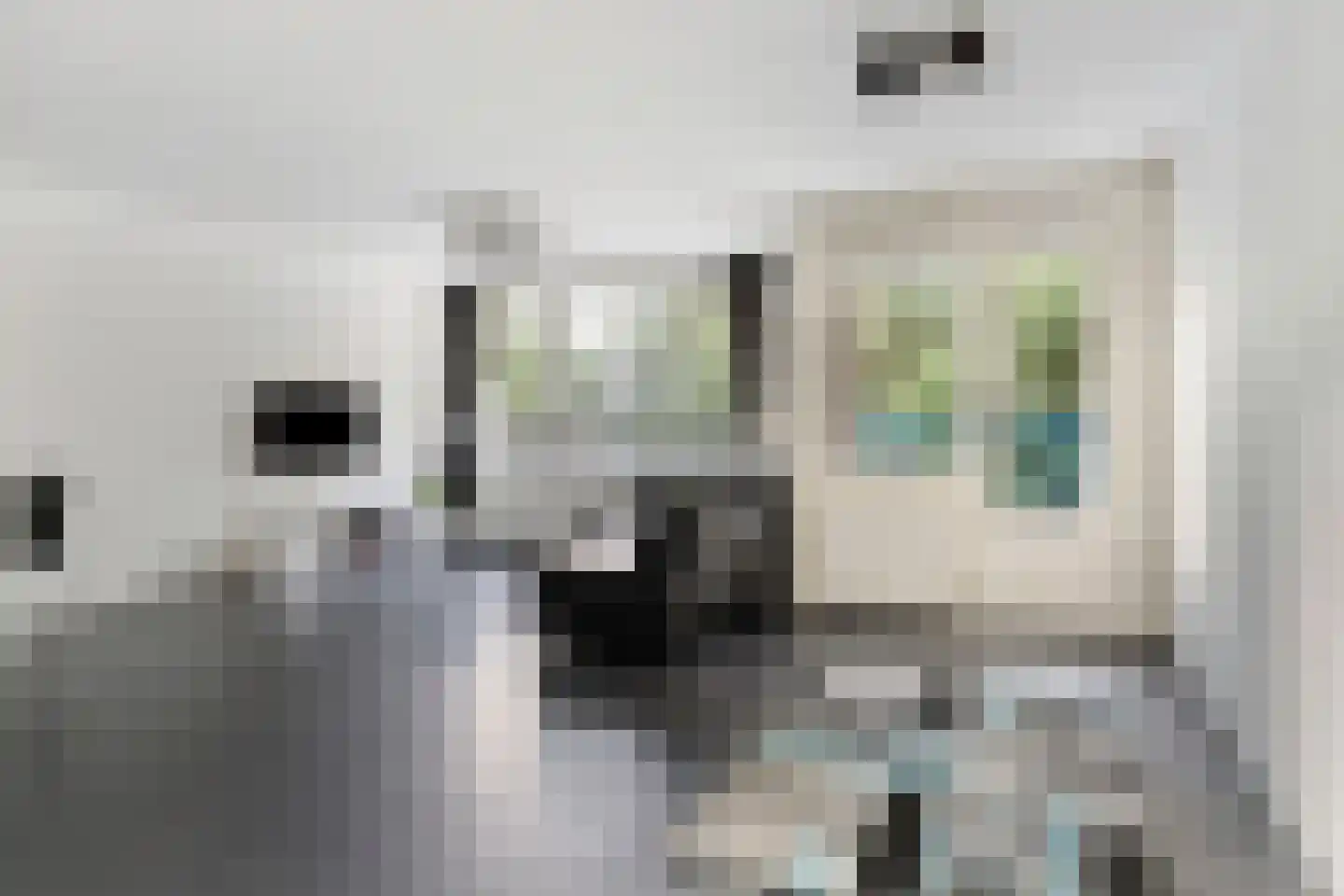 Margarethaland 189 Den Haag thumbnail 10