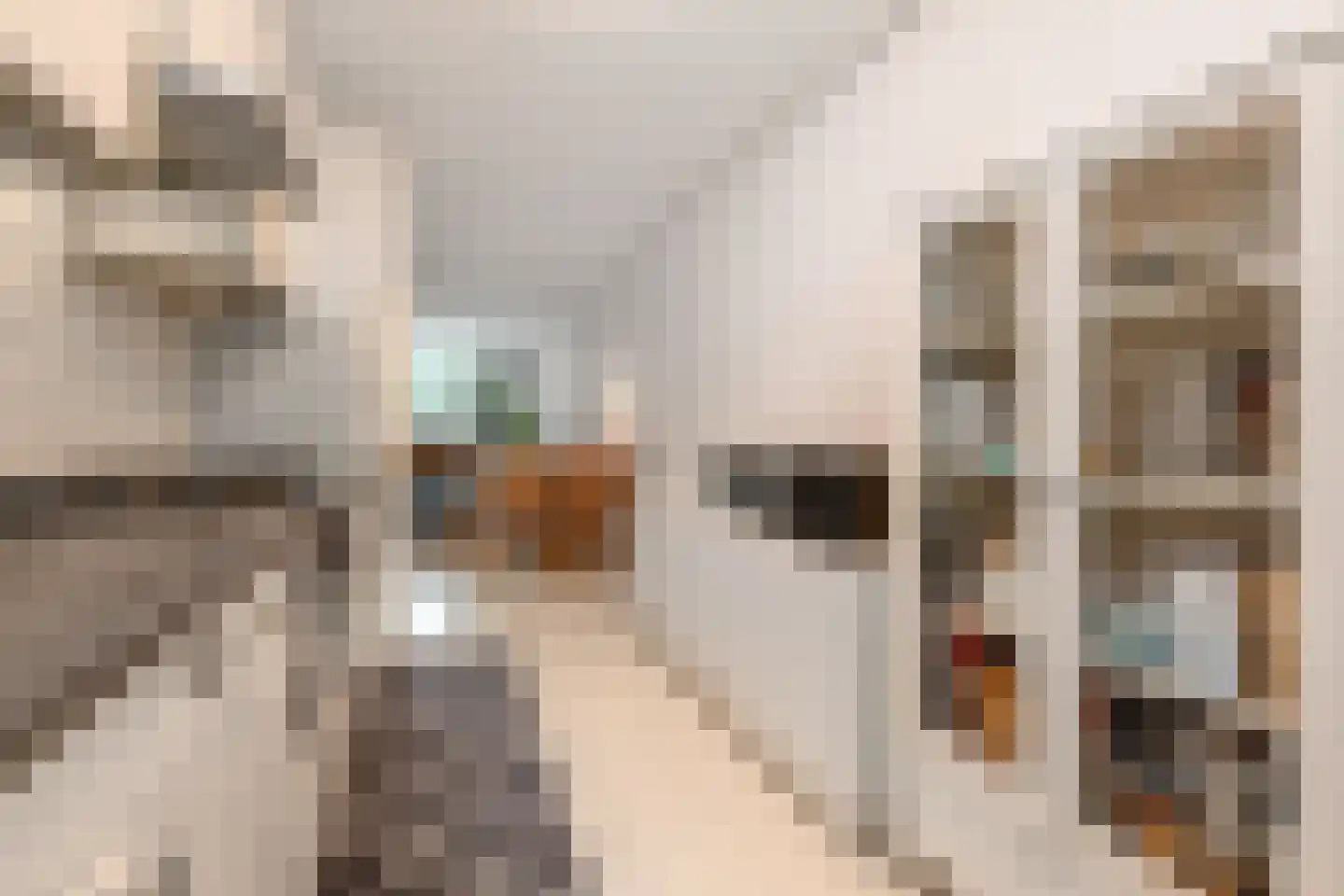 Margarethaland 231 Den Haag thumbnail 11