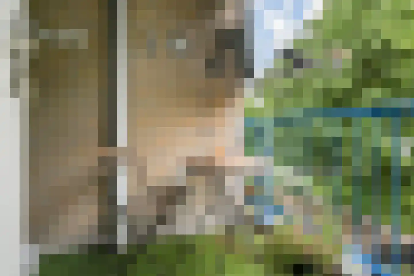 Margarethaland 231 Den Haag thumbnail 12