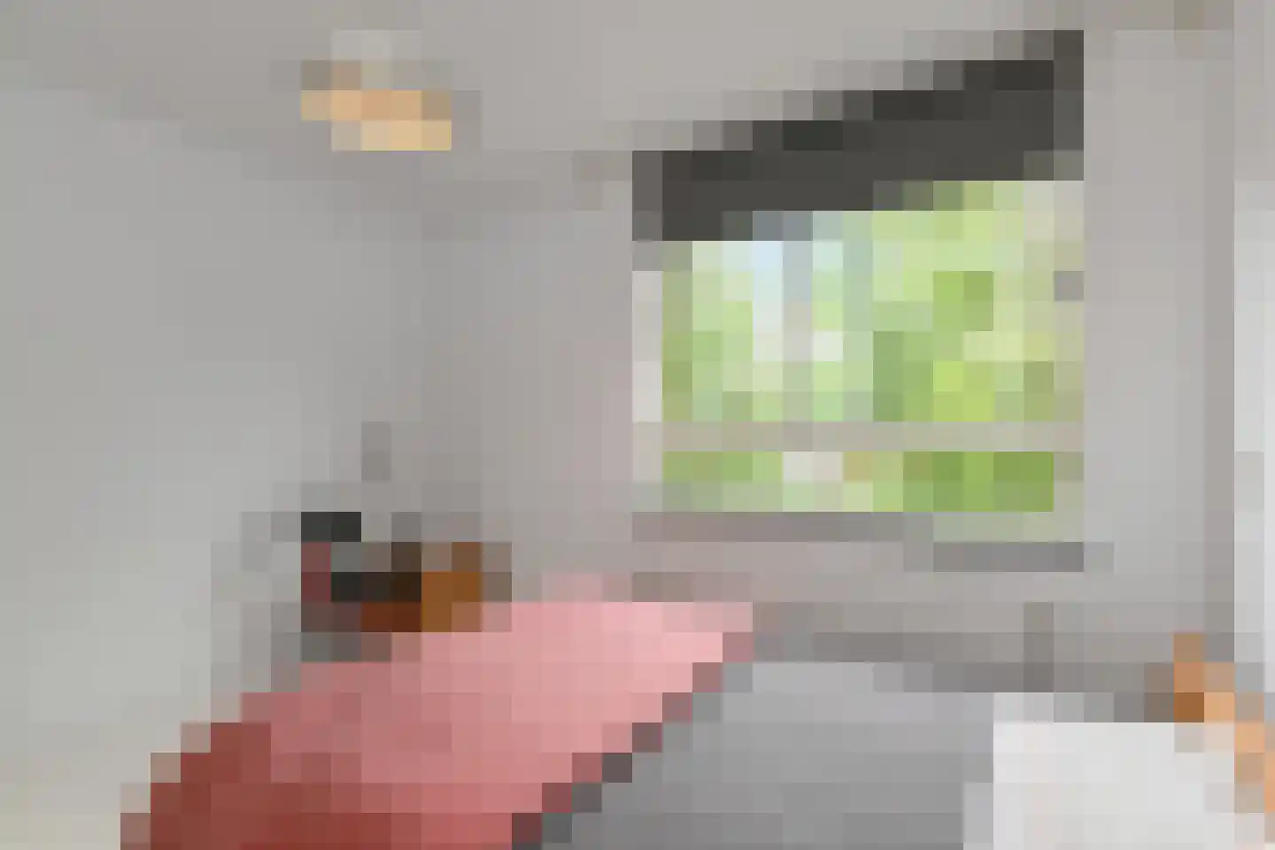 Margarethaland 231 Den Haag thumbnail 22