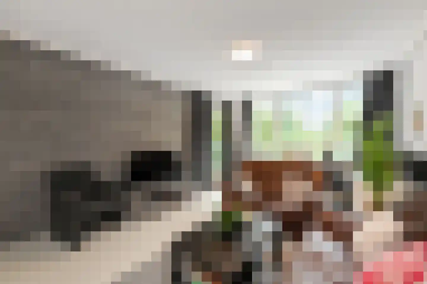 Margarethaland 231 Den Haag thumbnail 5