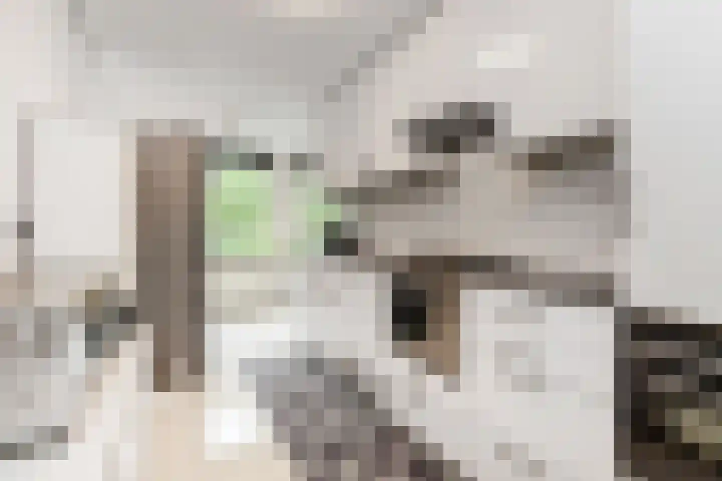 Margarethaland 231 Den Haag thumbnail 8