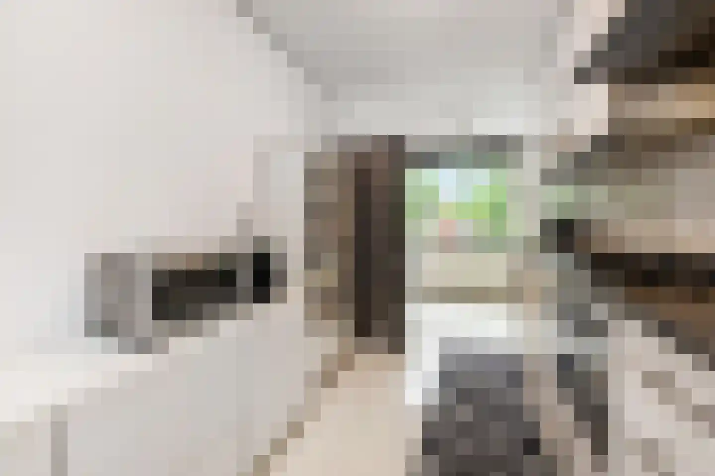 Margarethaland 231 Den Haag thumbnail 9