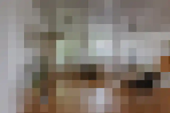 Margarethaland 267 Den Haag thumbnail 6