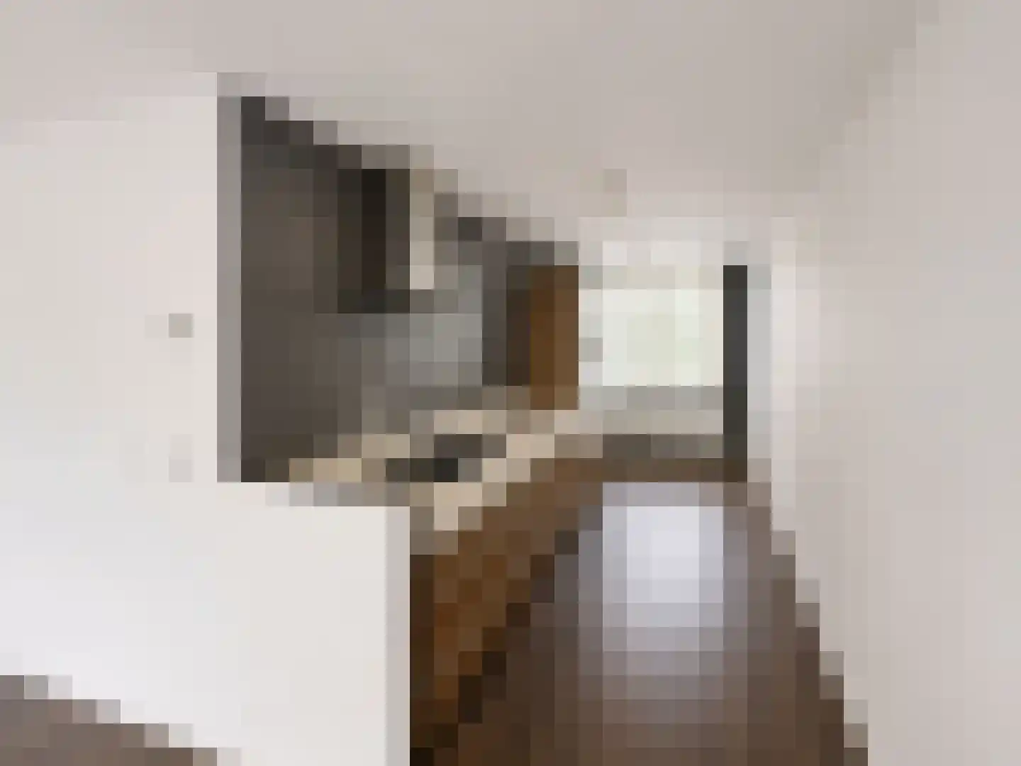Margarethaland 269 Den Haag thumbnail 12