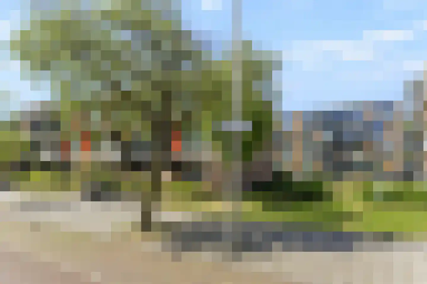 Margarethaland 269 Den Haag thumbnail 18
