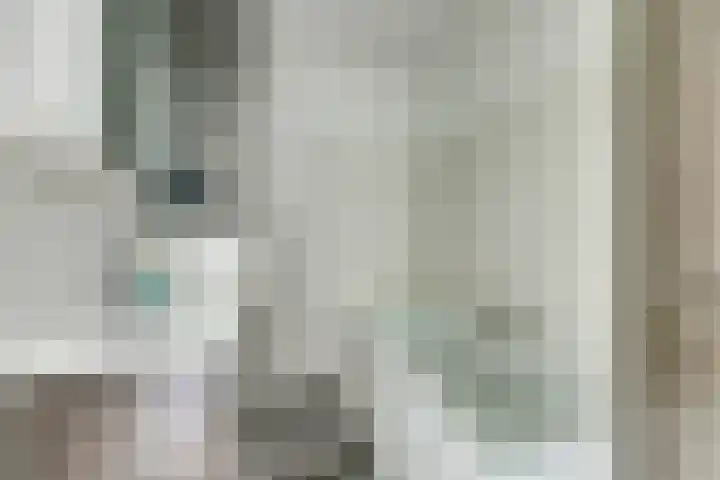 Margarethaland 291 Den Haag thumbnail 24