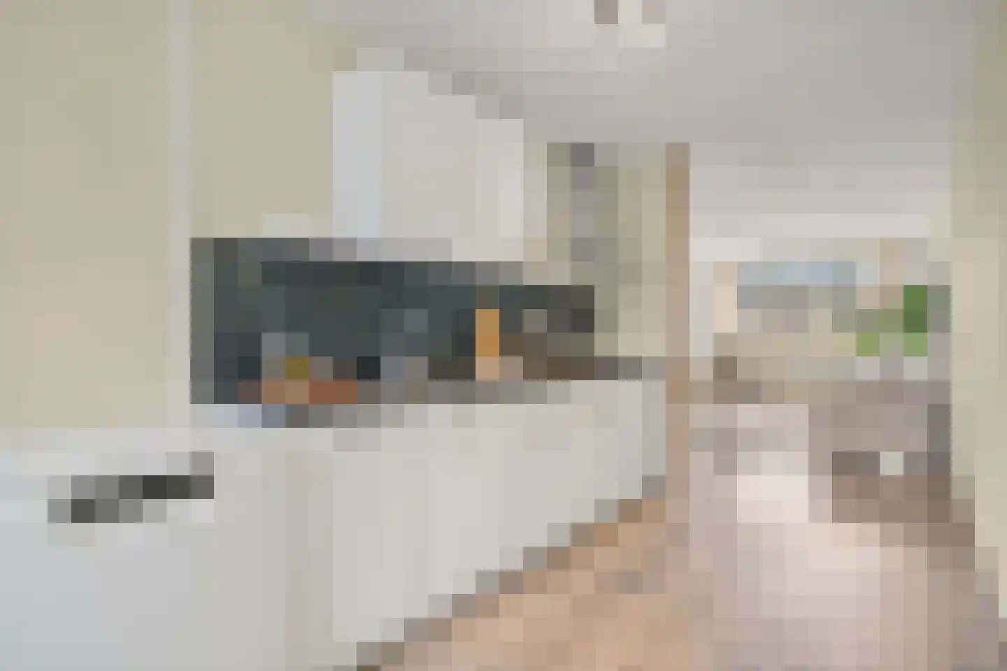 Margarethaland 497 Den Haag thumbnail 12