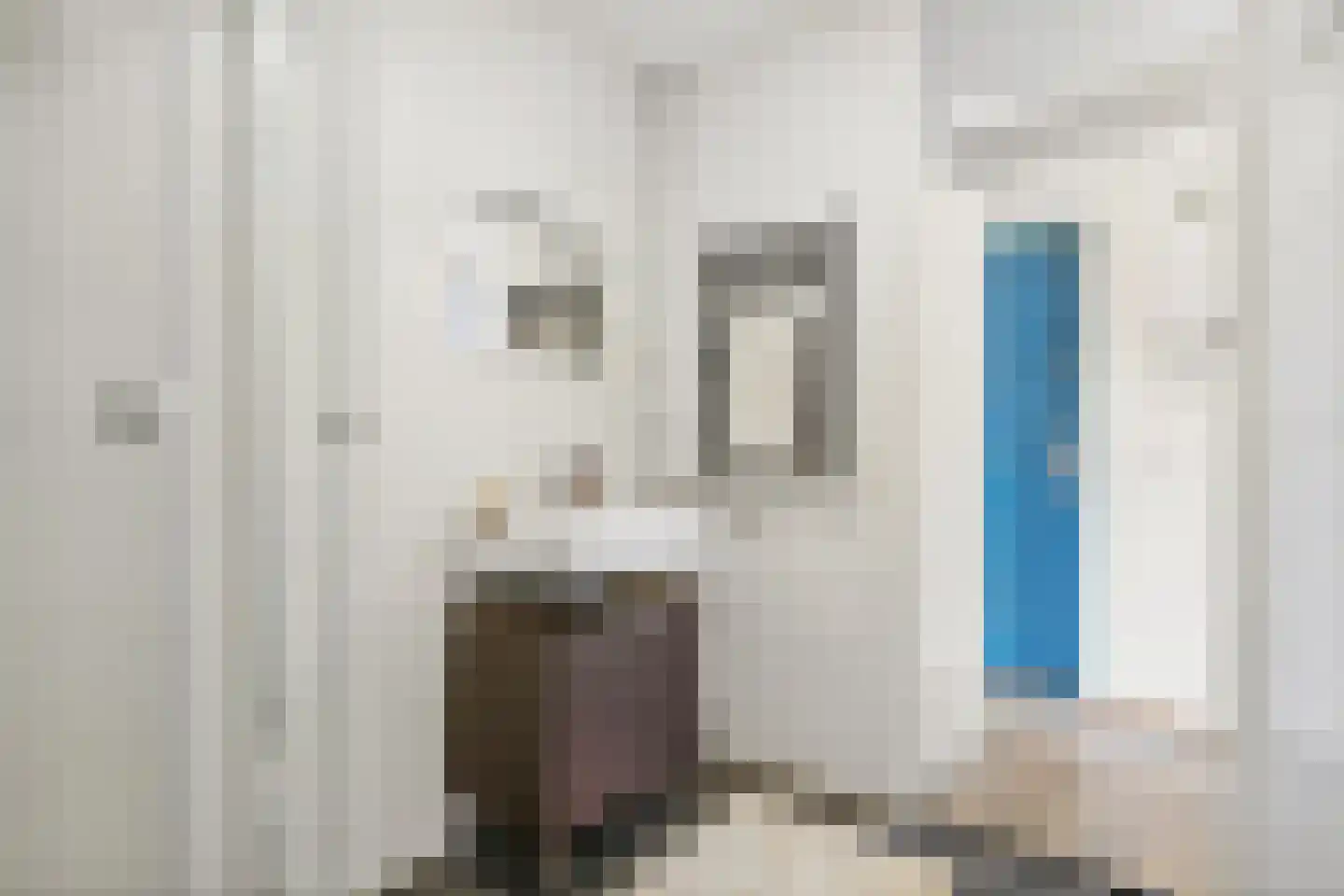 Margarethaland 497 Den Haag thumbnail 17