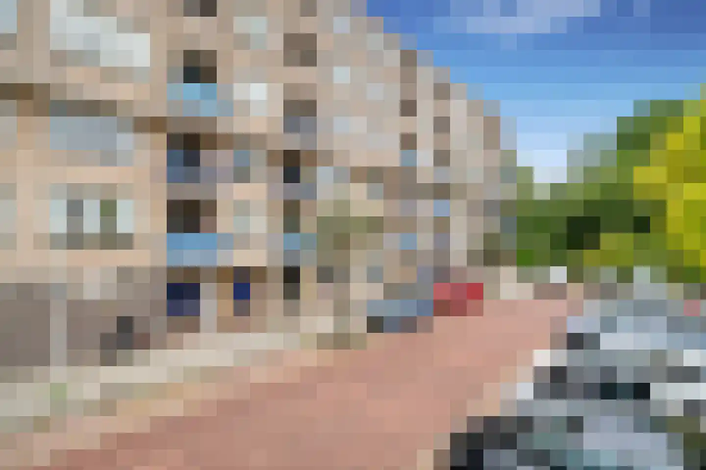Margarethaland 497 Den Haag thumbnail 29