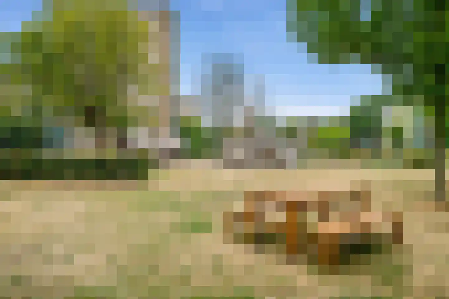 Margarethaland 497 Den Haag thumbnail 32