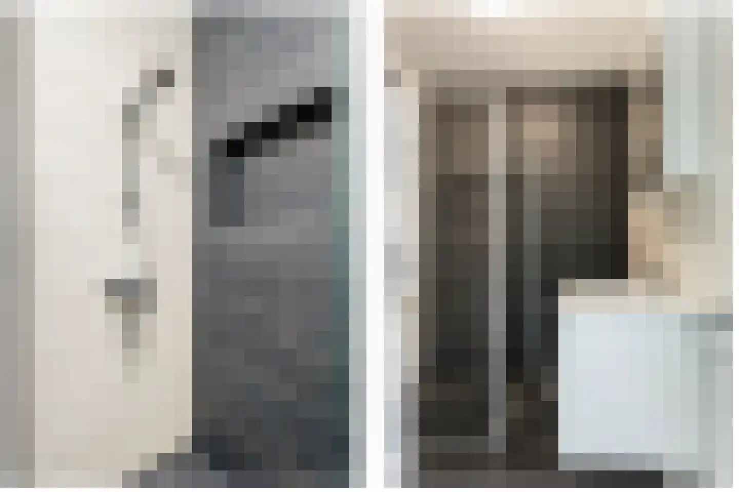 Margarethaland 511 Den Haag thumbnail 14