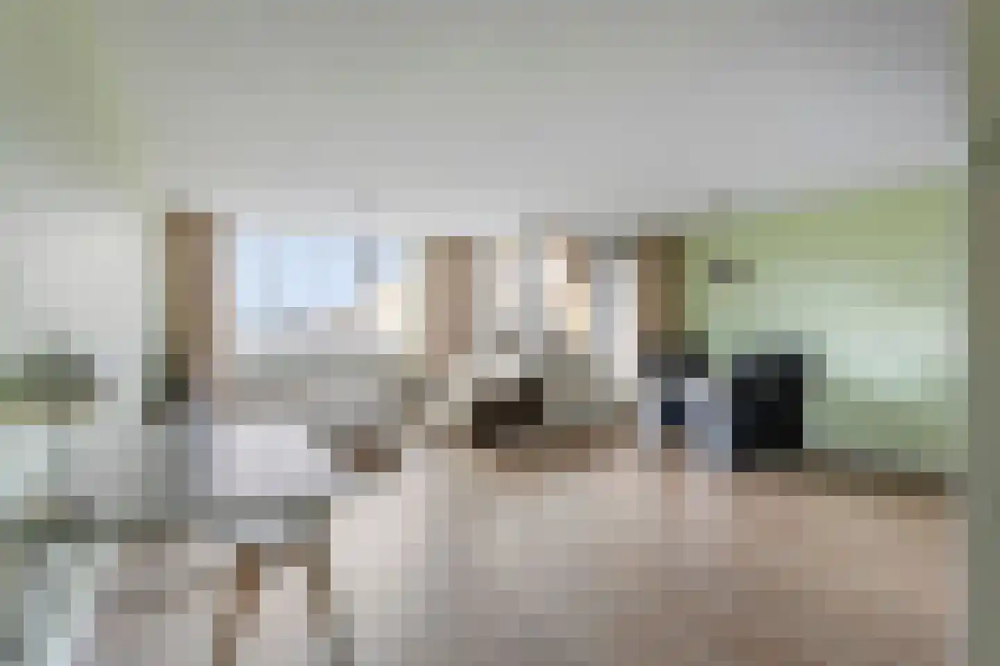 Margarethaland 511 Den Haag thumbnail 4